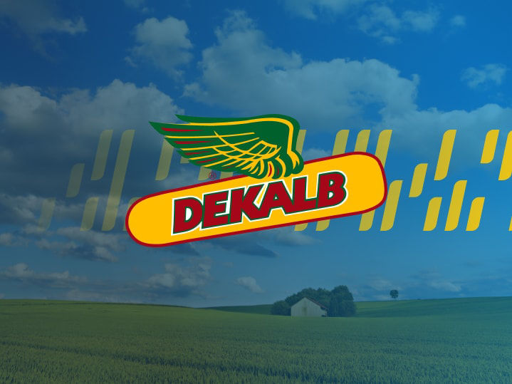 Семена DEKALB® от Байер